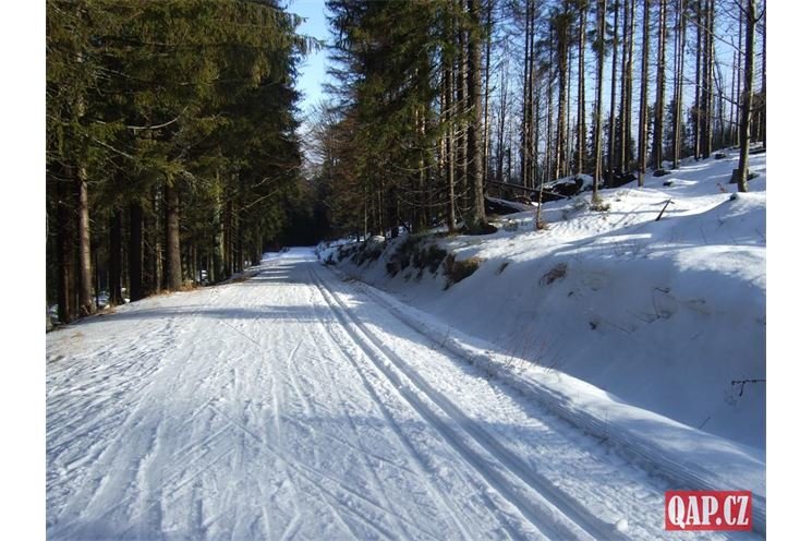 Šumava Gerlova huť 27_12_2021 (8)