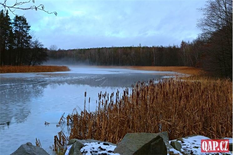 Malý bolevecký rybník tzv. Chobot foto QAP.cz Malý bolevecký rybník tzv. Chobot foto QAP.cz