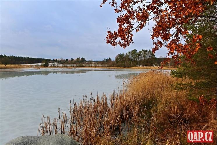 Rybník Košinář foto QAP Rybník Košinář foto QAP