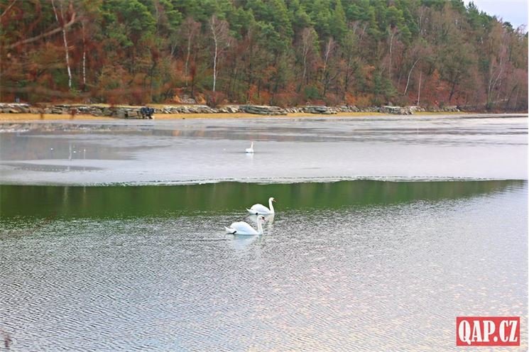 Velký bolevecký rybník foto QAP