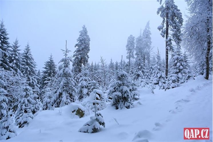 šumava _pancir a okoli _foto QAP (7)