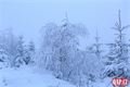 šumava _pancir a okoli _foto QAP (15)