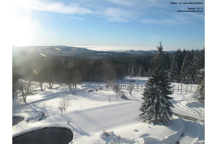 Bučina_Šumava.eu