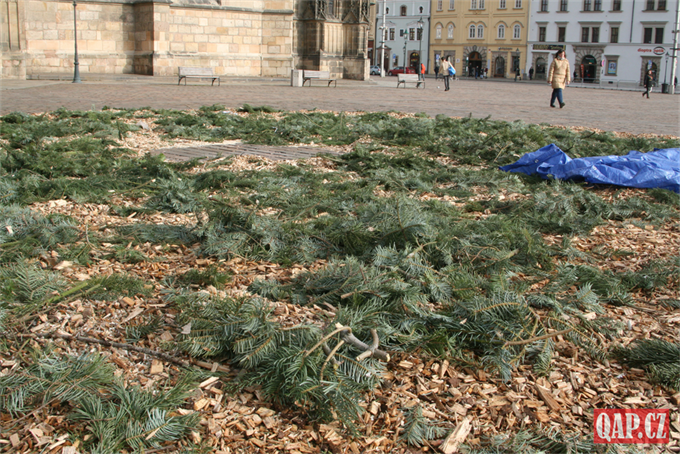 Odstrojený vánoční strom v Plzni_QAP (1)