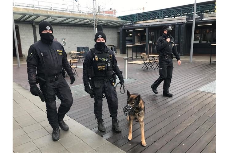 Kontroly na nádražích_foto PČR4