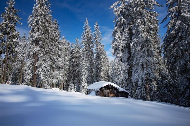 Bodenmais_Winter_Hütte
