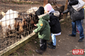 Zabijačka na Šídlováku_foto QAP (1)