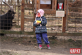 Zabijačka na Šídlováku_foto QAP (34)