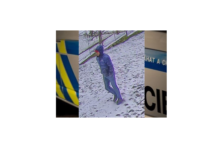 Svědek krádeže_PČR Svědek krádeže_PČR