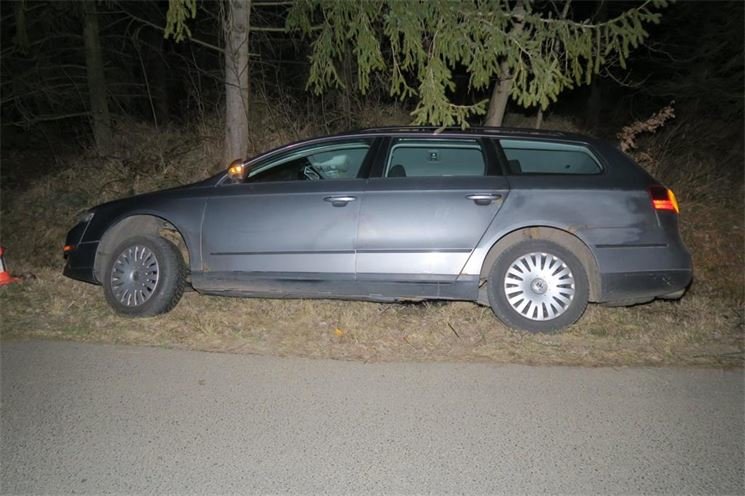 Auto v příkopu_lesní zvěř_foto PČR Auto v příkopu_lesní zvěř_foto PČR