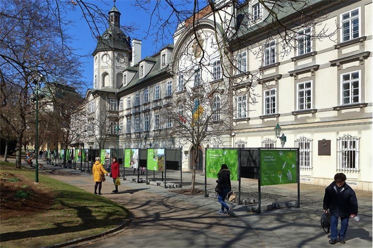 Zelené město_foto Z. Vaiz