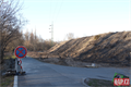 Kácení kolem řeky_foto QAP (5)