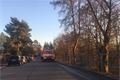 Hradiste pozár porost (15)