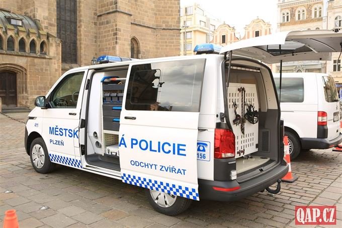 Městská policie FOTO QAP (85)