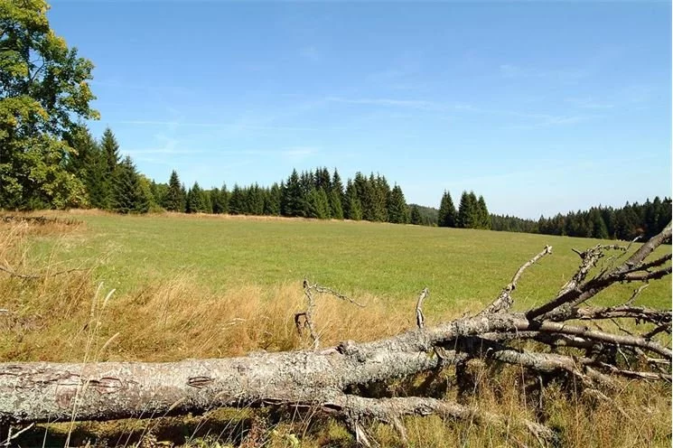 Šumava8704