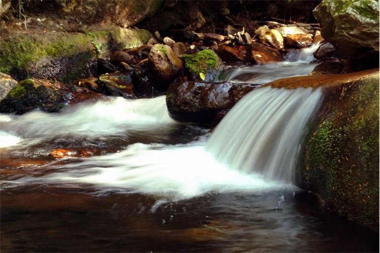 Šumava463