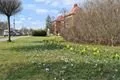 220406_Jarni_cibuloviny_5