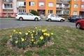 DSC_9986_00001