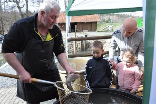 sádky plzen 3 sádky plzen 3