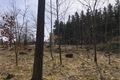 IMG-20220413-WA0014