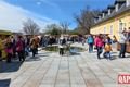 Kozel jarmark velikonoce foto QAP (17)