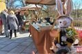 Kozel jarmark velikonoce foto QAP (18)