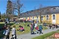 Kozel jarmark velikonoce foto QAP (24)