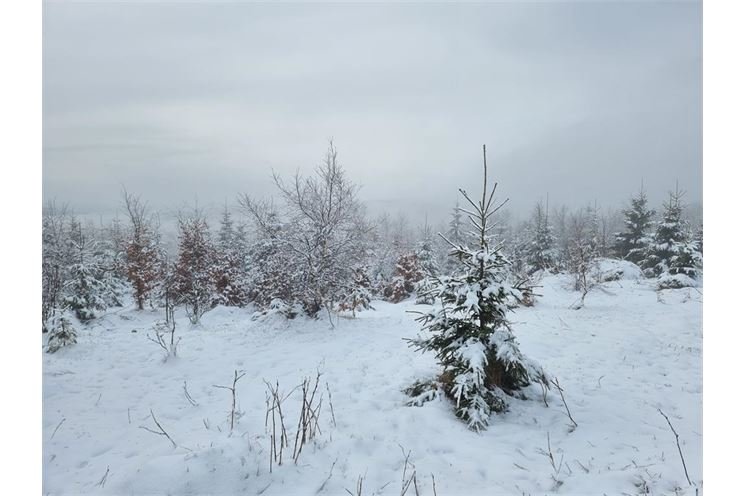 Šumava 27. 4b