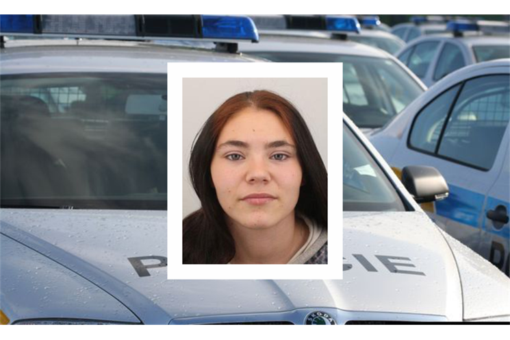 policie 1 policie 1