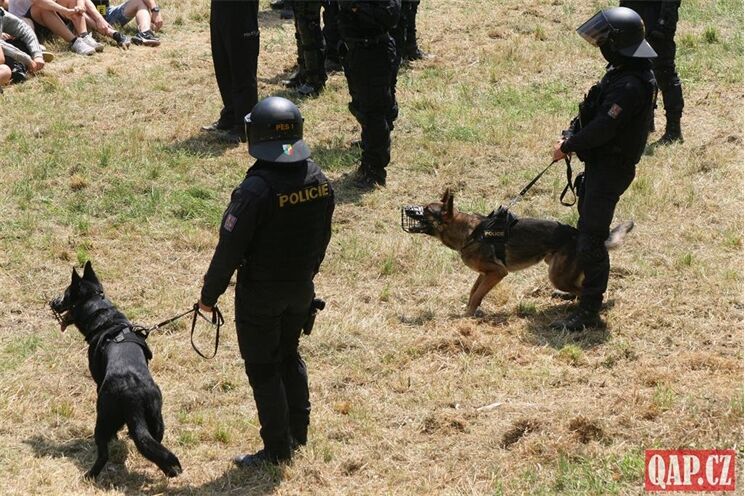 AMOK_DoosanArena_QAP (11)