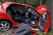 nehoda_auto ve stromě_exitus