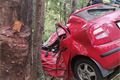 nehoda_auto ve stromě_exitus2