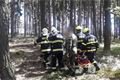 parašutisti na stromě_HZSPK (1)