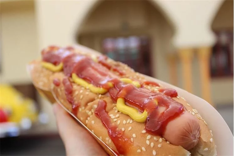 hot dog_ilustračka_pixabay