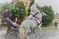 Dožínky Plzeňského kraje (5)