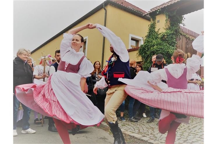 Dožínky Plzeňského kraje (8)