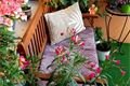 balkon_chaloupkova_katerina_jesenicka