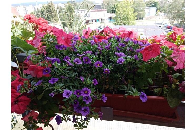 balkon_kilianova_vojteska_komenskeho balkon_kilianova_vojteska_komenskeho