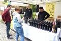 Bolevecké vinobraní_Milan Svoboda (7)