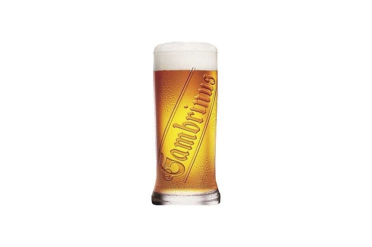 gambrinus gambrinus