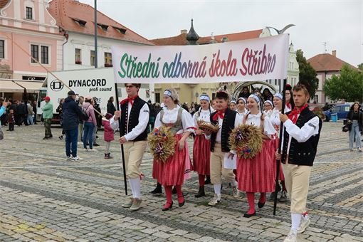 IMG_0817