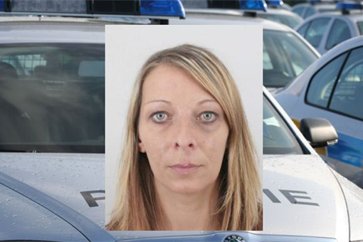 ARTIMOVÁ PAVLÍNA