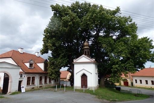 černice