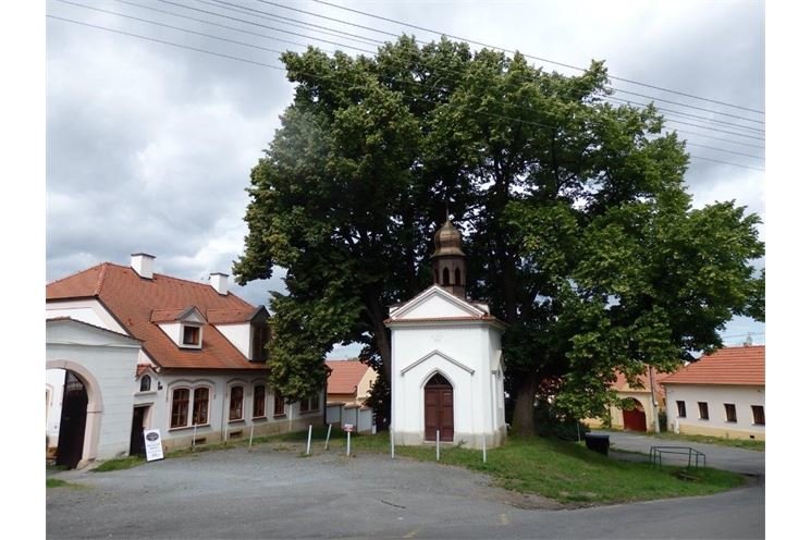 černice černice