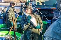 Výlov ryb 2022_Klatovské rybářství FB Výlov ryb 2022_Klatovské rybářství FB