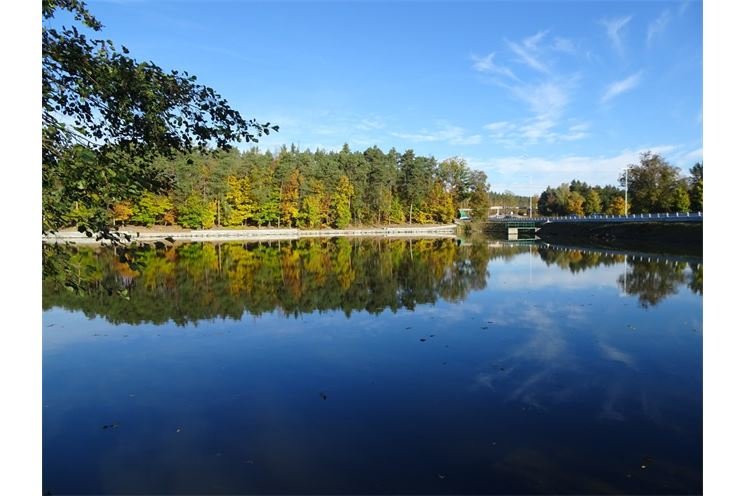 Třemošenskýrybník_fotoMartinGREGAR_Small