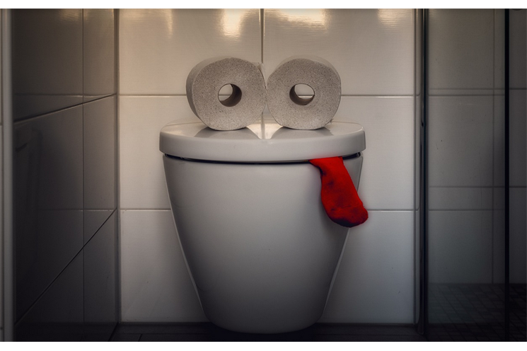 Toaleta_pixabay Toaleta_pixabay