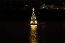 Vánoční strom Borská přehrada_UMO 3