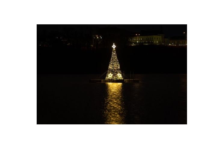 Vánoční strom Borská přehrada_UMO 3