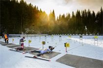 olympijskytym.cz olympijskytym.cz